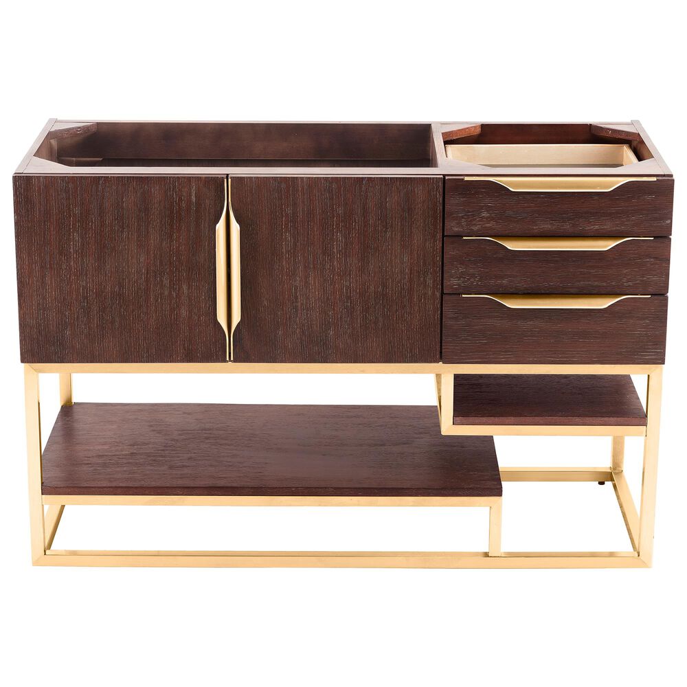 James Martin Columbia 48" Single Bathroom Vanity Cabinet in Coffee Oak and Radiant Gold, , large