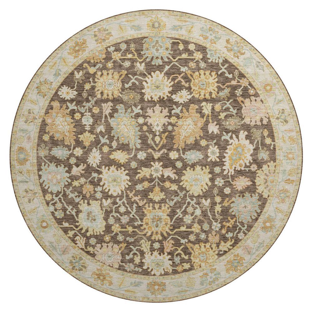 Dalyn Rug Company Hatay HY2 8" Round Chocolate Area Rug, , large