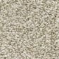 Shaw Just A Hint II Carpet in Eggshell, , large
