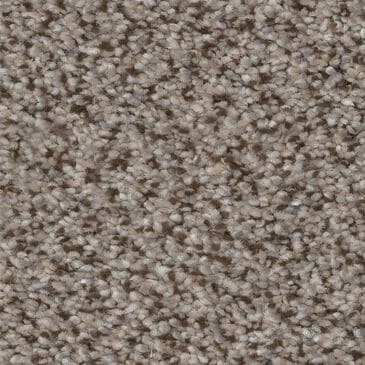 Shaw Truspirit Ii Carpet in Iron Works, , large
