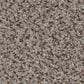 Shaw Truspirit Ii Carpet in Iron Works, , large