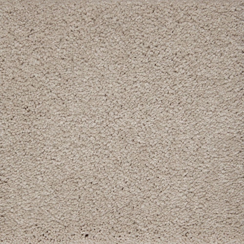 Mohawk Dahlia Harbor Carpet in Aberdeen, , large
