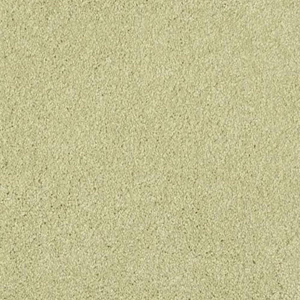 Masland Miami Carpet in Springhill, , large