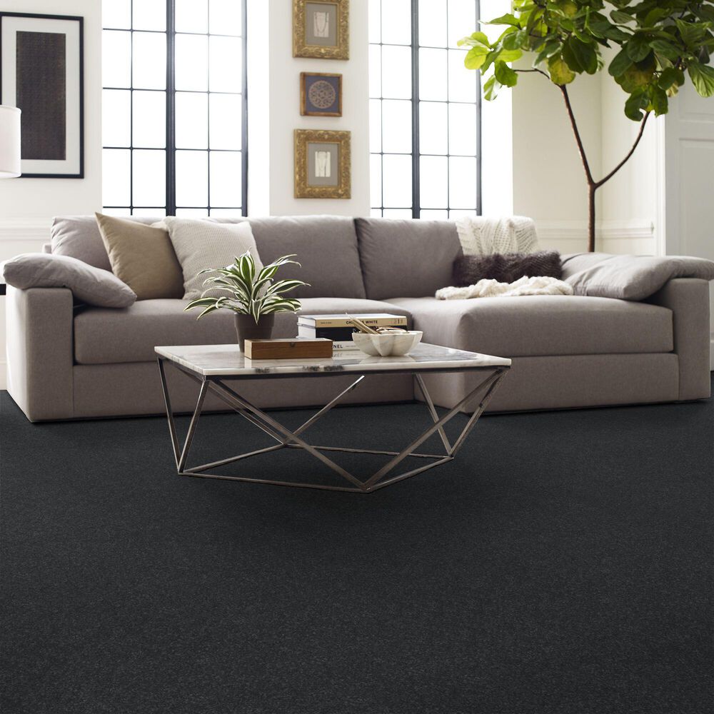 Shaw Hard At Play I Carpet in Shadow, , large
