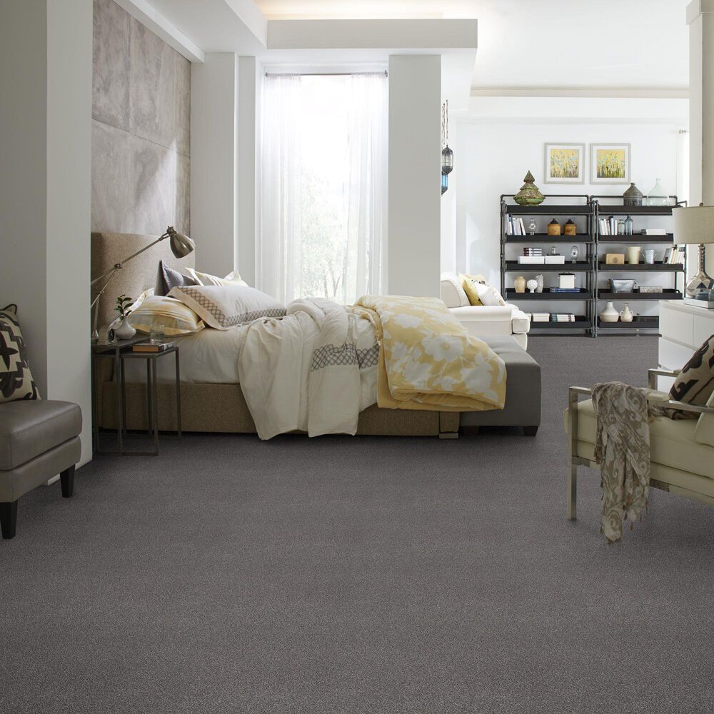 Anderson Tuftex Caress by Shaw Cozy Harbor II Carpet in Well Traveled, , large