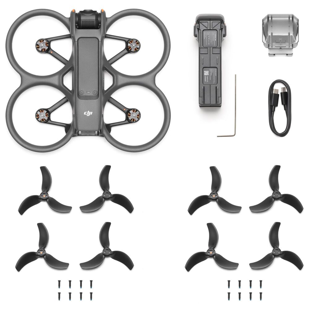 DJI Avata 2 Drone Fly Smart Combo with 3-Battery in Gray, , large