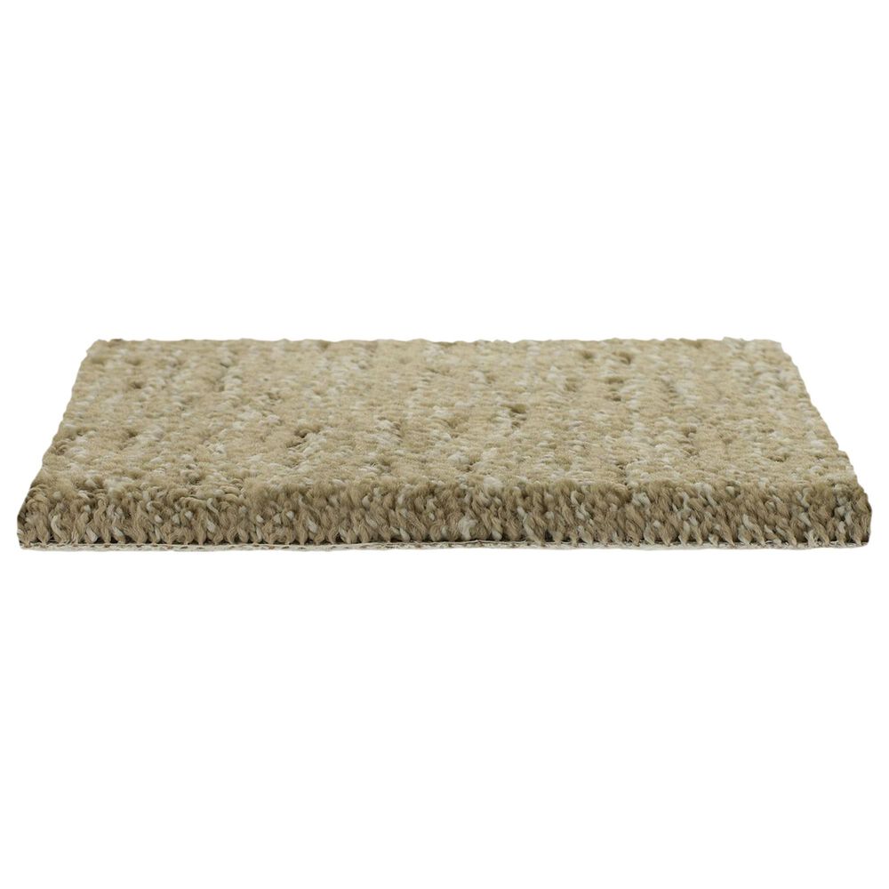 Mohawk Natural Texture Carpet in Champagne, , large