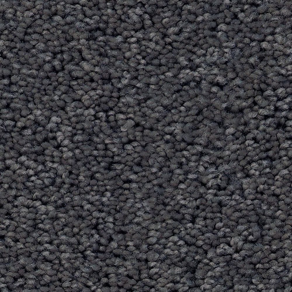 Shaw Las Cruces Carpet in Charter, , large