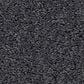 Shaw Las Cruces Carpet in Charter, , large