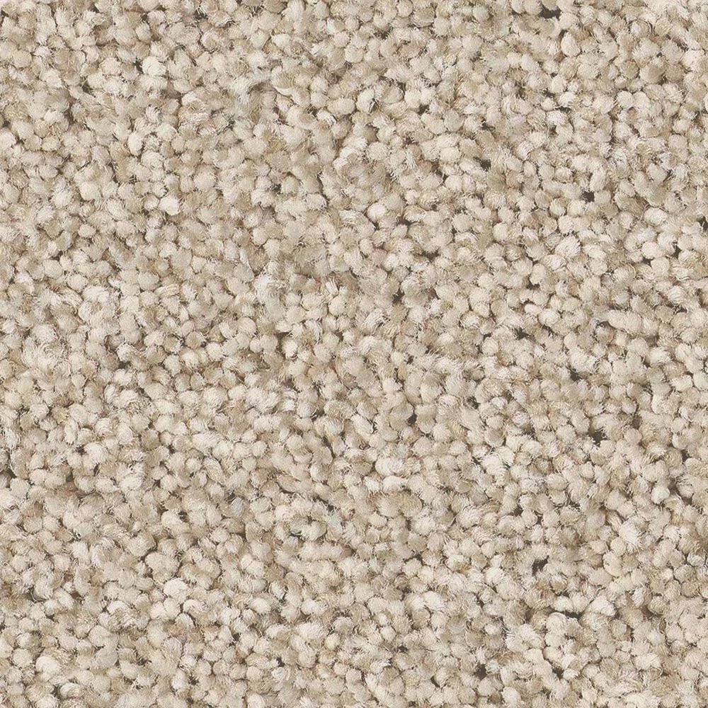 Anderson Tuftex Avalon Bay Carpet in Windswept, , large