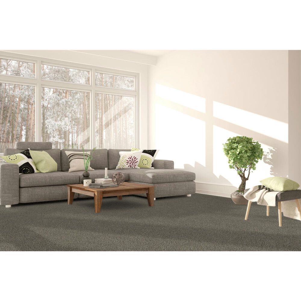 Dream Weaver Gold Standard II Carpet in Pewter, , large