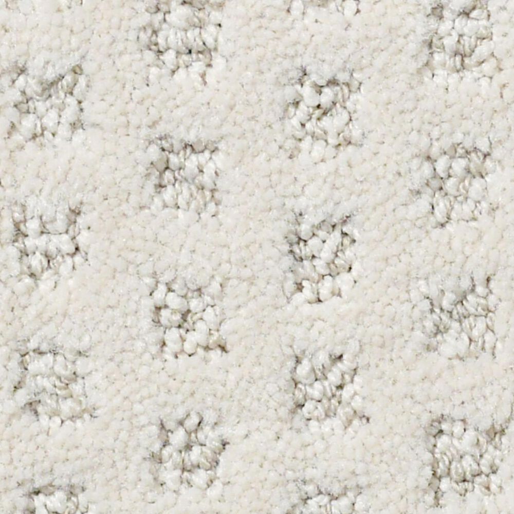Anderson Tuftex Narrow Creek Carpet in Great Falls, , large