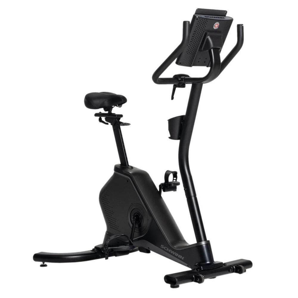 Schwinn 190 Upright Bike, , large