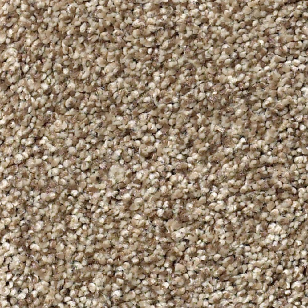 Shaw Tonal Comfort II Carpet in Camping Trip, , large