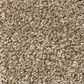 Shaw Tonal Comfort II Carpet in Camping Trip, , large