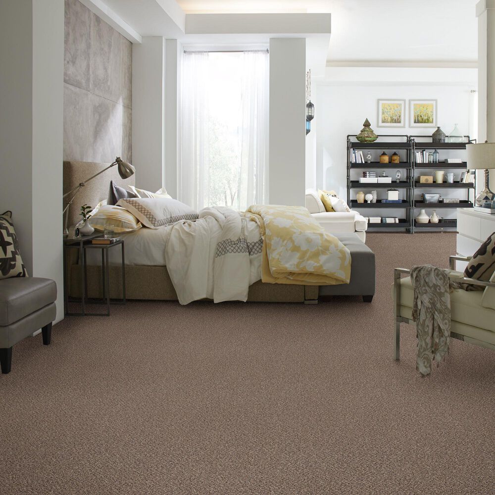 Philadelphia Mixed Essentials Carpet in Primitive, , large