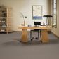 Anderson Tuftex Rhode Carpet in Riverbank, , large