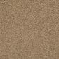 Shaw Del Morro Carpet in Crossroads, , large