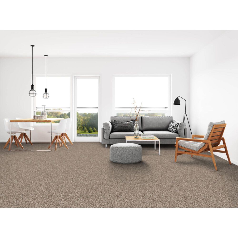 Dixie Home Simplicity Carpet in Laid Back, , large