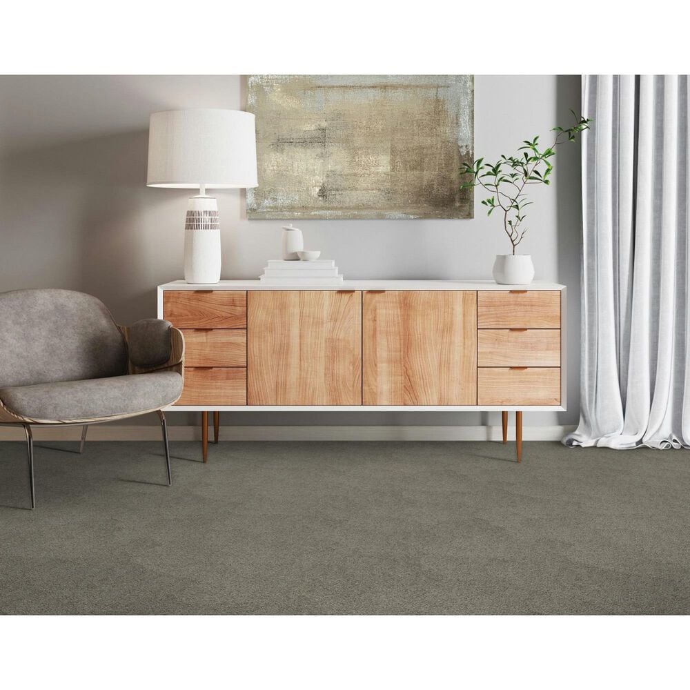 Mohawk Gentle Guardian lV Carpet in Shadow, , large