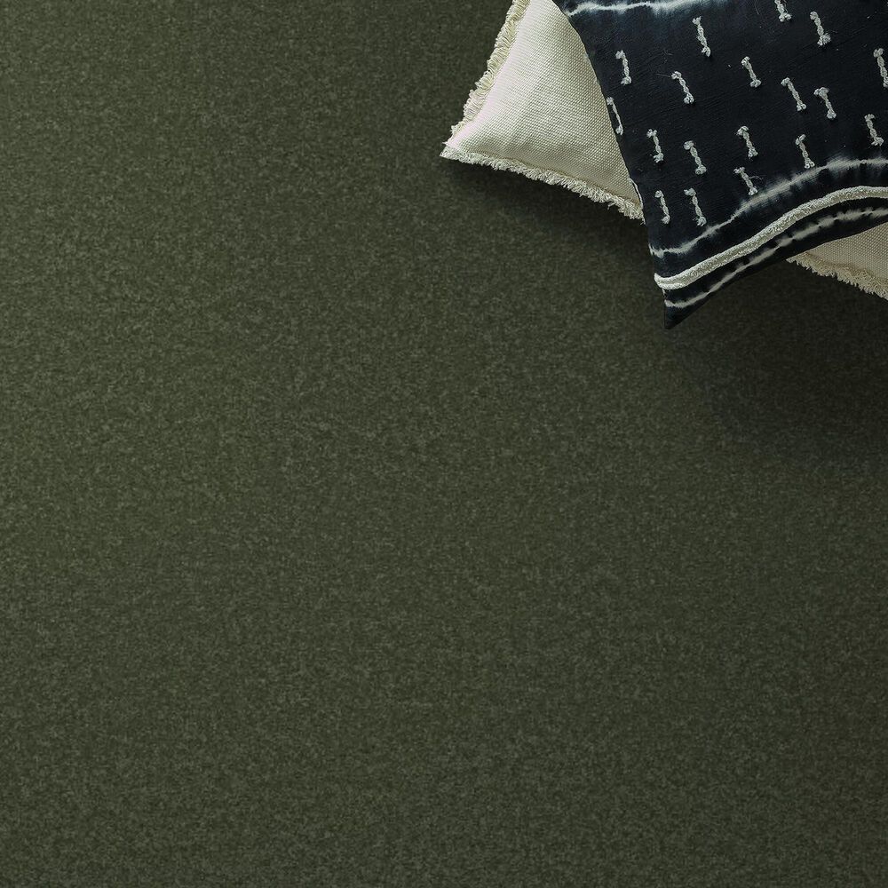 Anderson Tuftex Elegant Beauty Carpet in Bereyl, , large