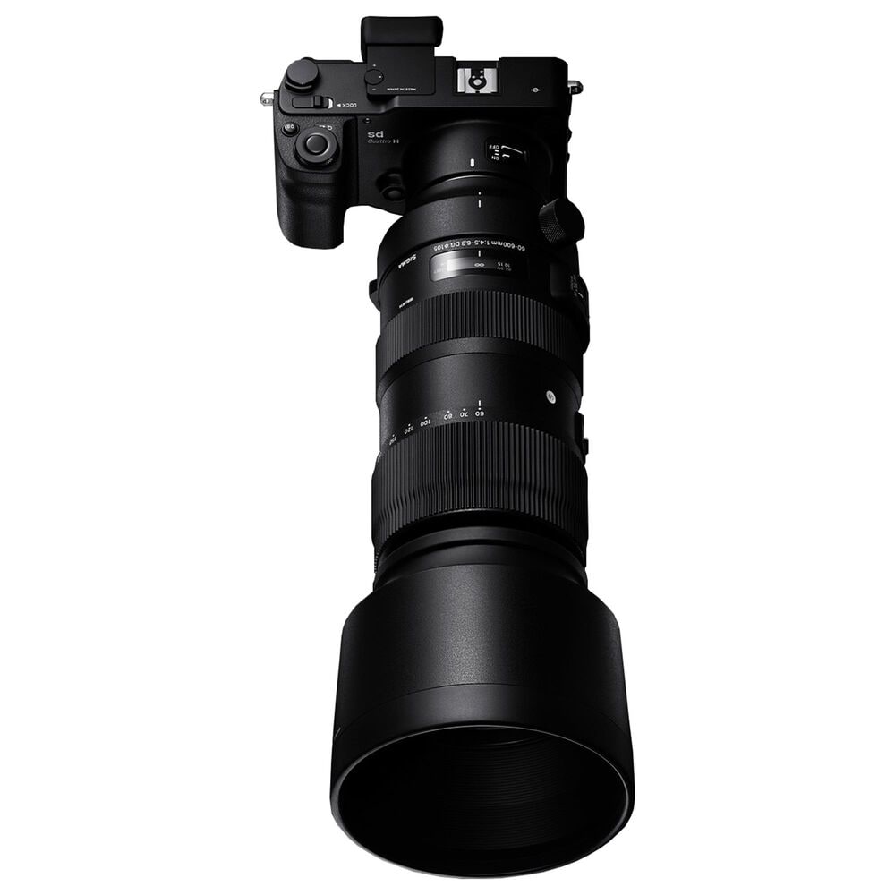 Sigma 60-600mm F4.5-6.3 DG OS HSM S., , large