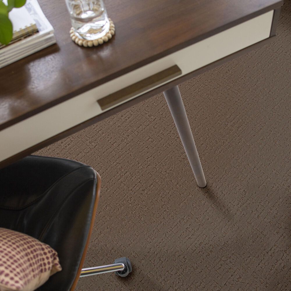 Anderson Tuftex Adair Carpet in Meet And Greet, , large