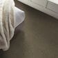Shaw Counterpart 24" x 24" Carpet Tile in Spitting Image, , large