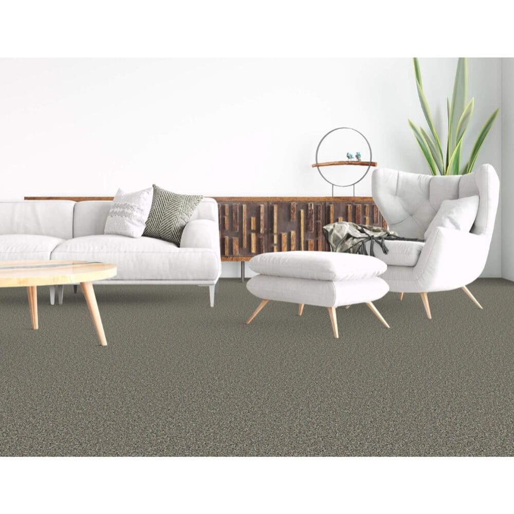 Dixie Home Riverbend Carpet in River Rock, , large