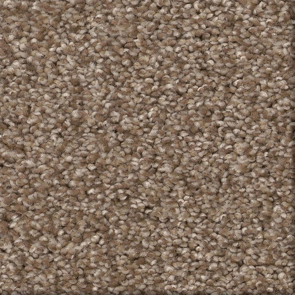 Shaw Comforting I Carpet in Riverbank, , large