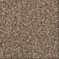 Shaw Comforting I Carpet in Riverbank, , large