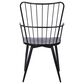 Blue River Parisa Side Chair in Black, , large