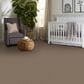 Philadelphia Champagne Taste I Carpet in Timberlake, , large