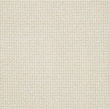 Dixie Home Pleasant Valley Carpet in Dawn, , large