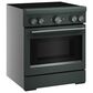 KitchenAid 4.1 Cu. Ft. Freestanding Induction Range in Juniper, , large