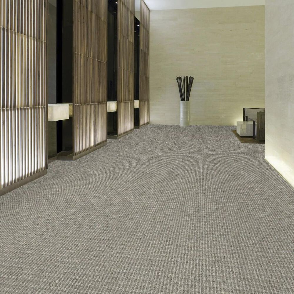 Philadelphia Fair Shake Carpet in Conformity, , large
