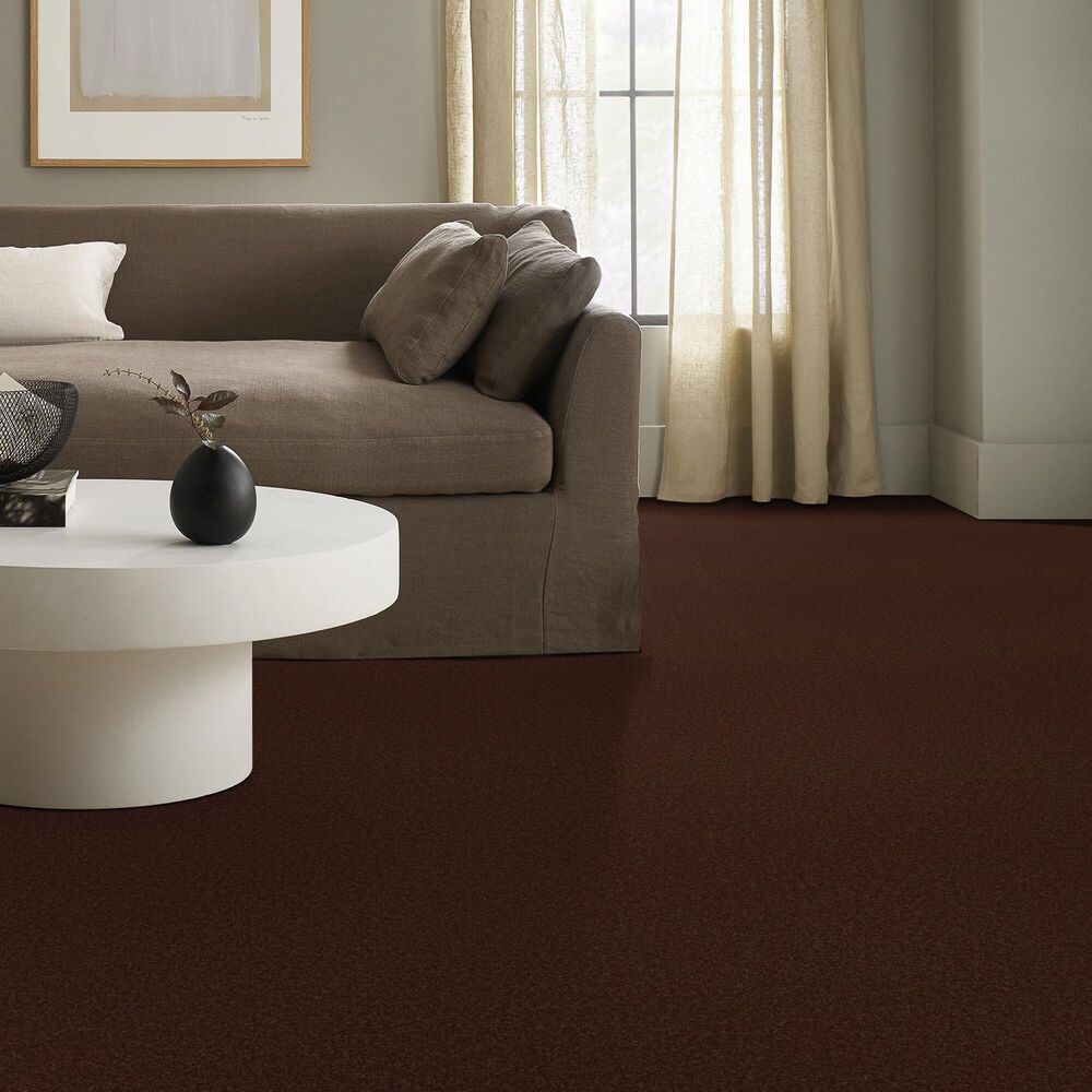 Anderson Tuftex Elegant Beauty Carpet in Cinnabar, , large