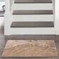 Nourison Silk Shadows 2" x 3" Beige and Silver Area Rug, , large
