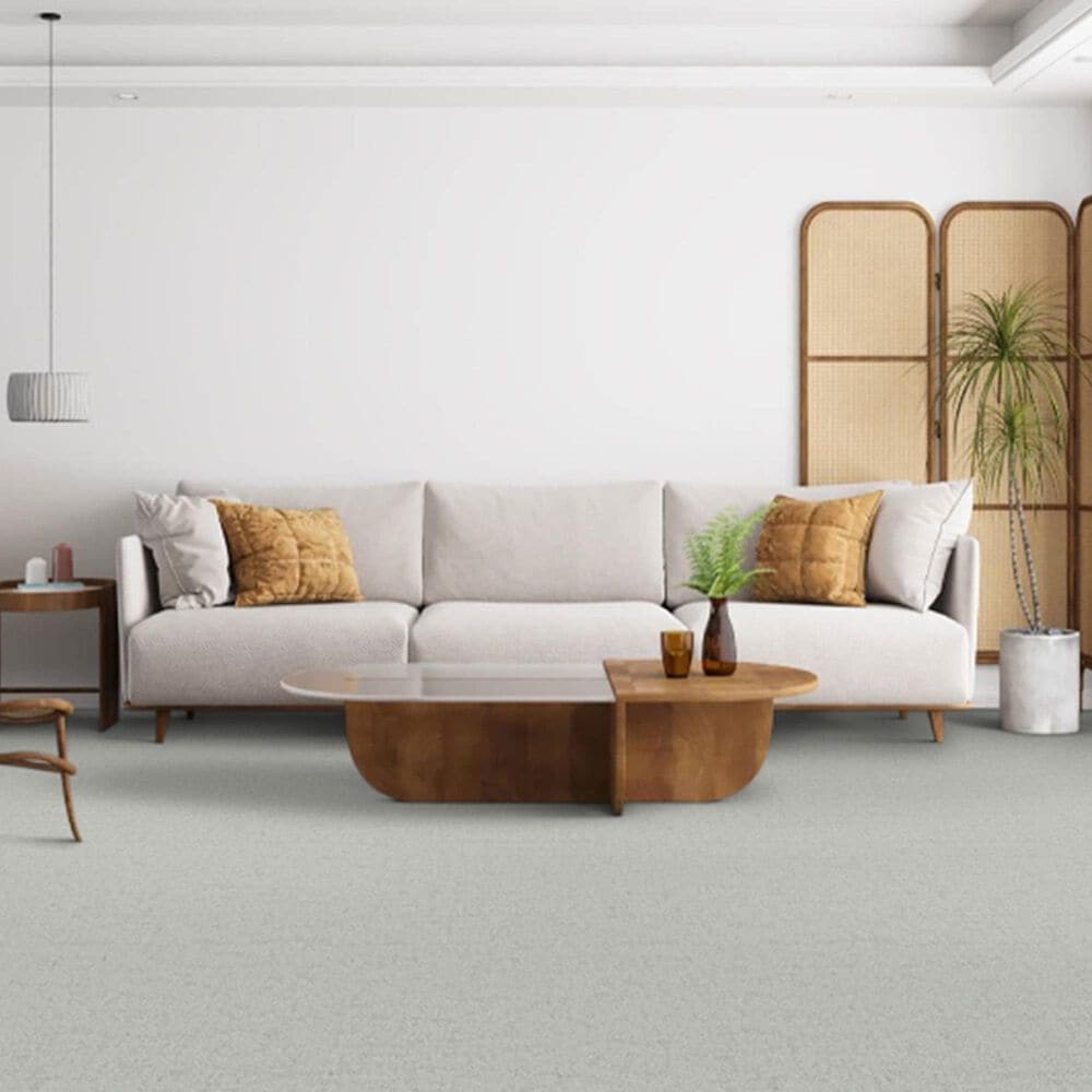 Dixie Home Genuine Carpet in Legitimate, , large
