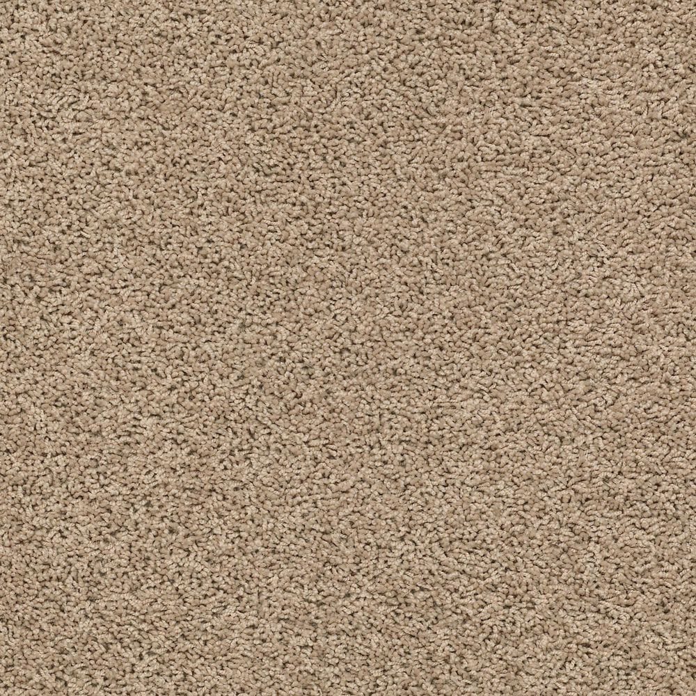 Shaw Del Morro Carpet in Midland, , large