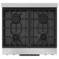 Thor Kitchen Gordon Ramsay 4.55 Cu. Ft. 30" Professional Natural Gas Range with Bronze Handle Kit in Stainless Steel, , large