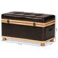 Baxton Studio Gendry Storage Ottoman in Dark Brown, , large