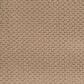 Masland Seacoast Carpet in Spiced Rum, , large