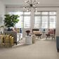 Anderson Tuftex Artistry Carpet in Salt Box, , large