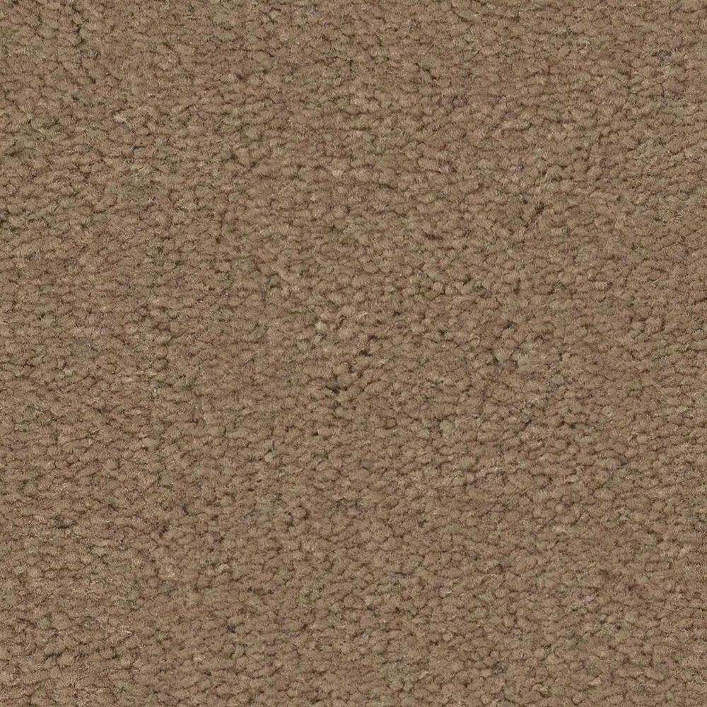 Anderson Tuftex Finery Carpet in Deer Path, , large