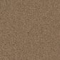 Anderson Tuftex Finery Carpet in Deer Path, , large
