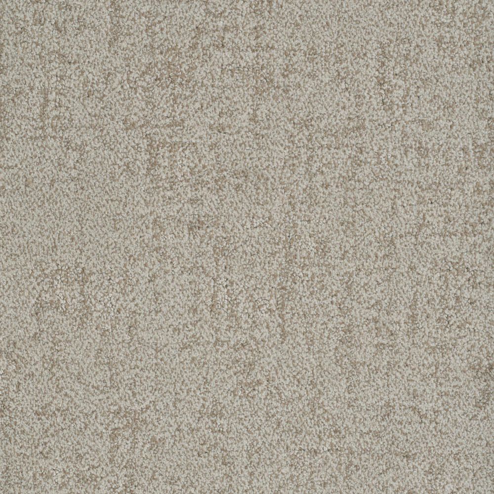 Dixie Home Genuine Carpet in Actual, , large