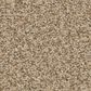 Anderson Tuftex Somerset Carpet in Golden, , large