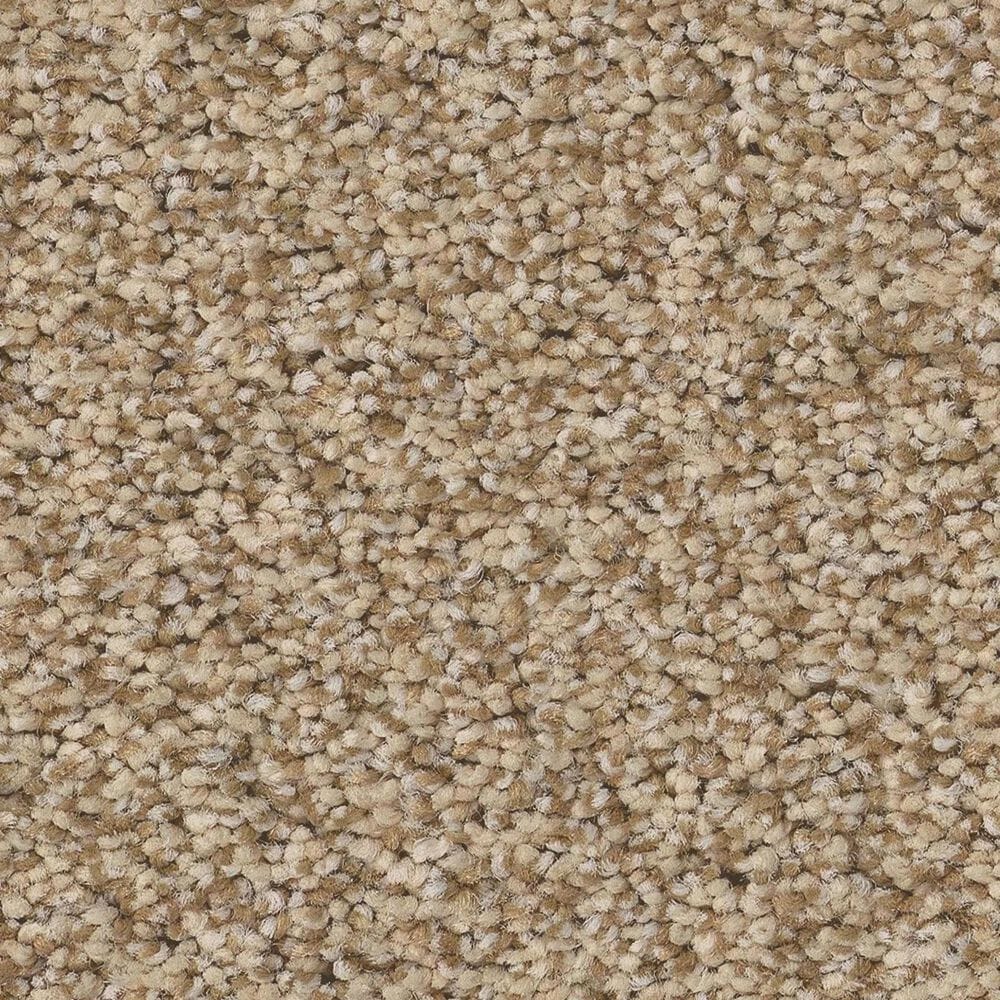 Anderson Tuftex Somerset Carpet in Golden, , large
