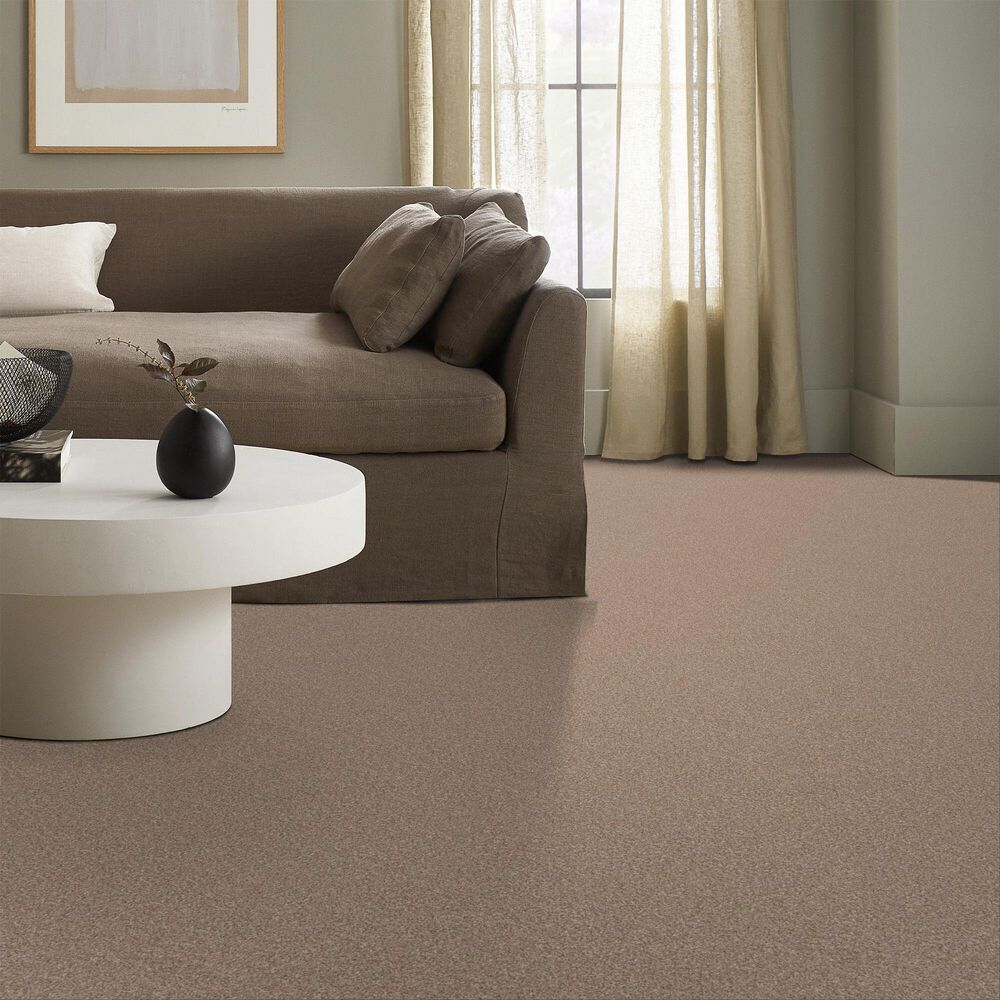 Anderson Tuftex Bossa Nova Carpet in Potter&#39;s Clay, , large